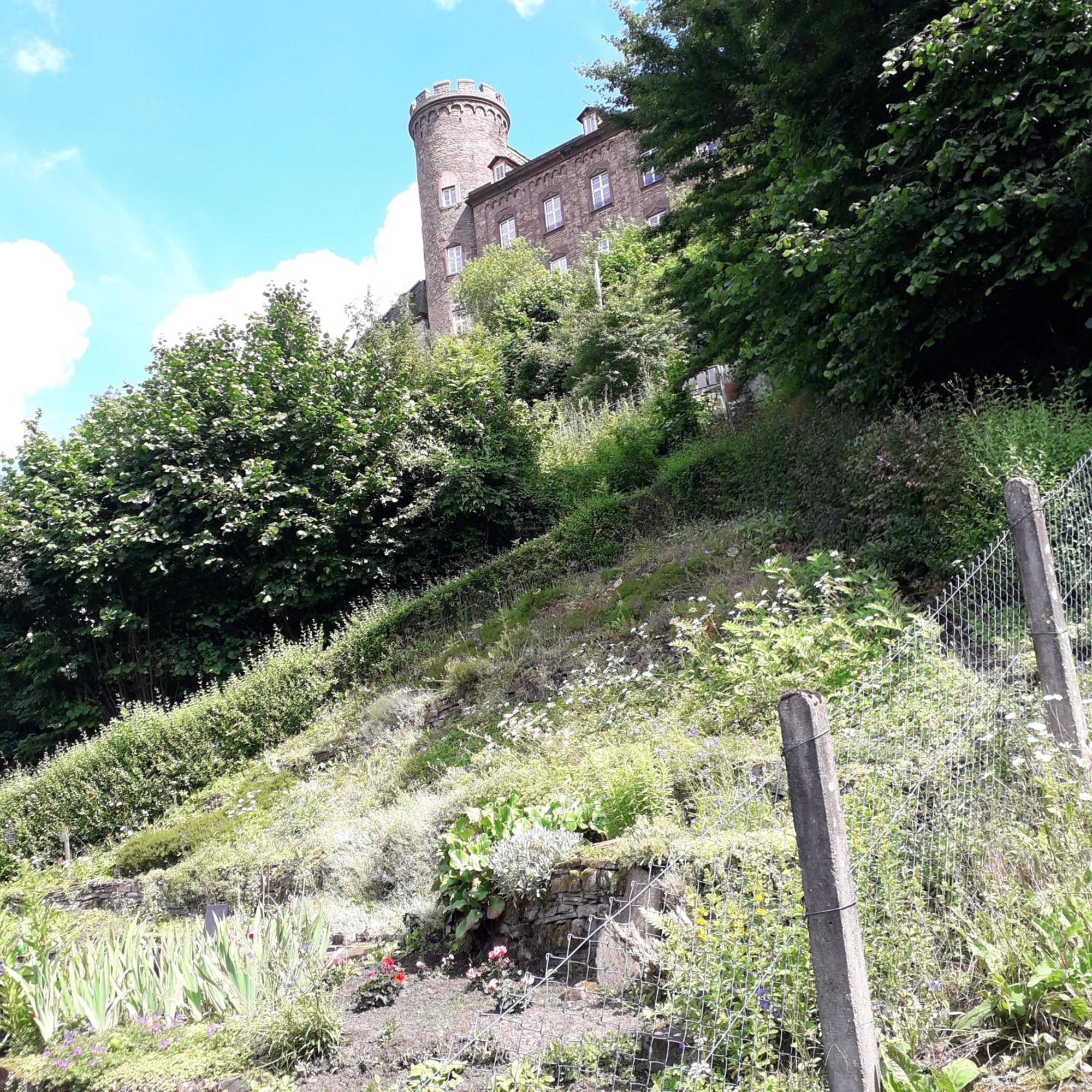 Geraeumiges Ferienhaus Beverungen Exterior foto